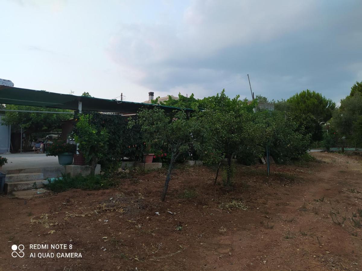 Ozena Countryside Apartment Vromonerion Exterior photo